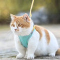 Vest-Style Cat Harness & Lead Set – image 3