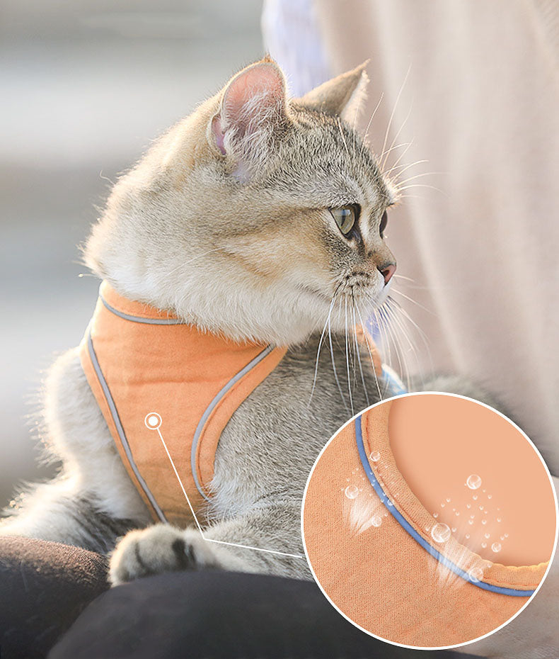 Vest-Style Cat Harness & Lead Set – image 5