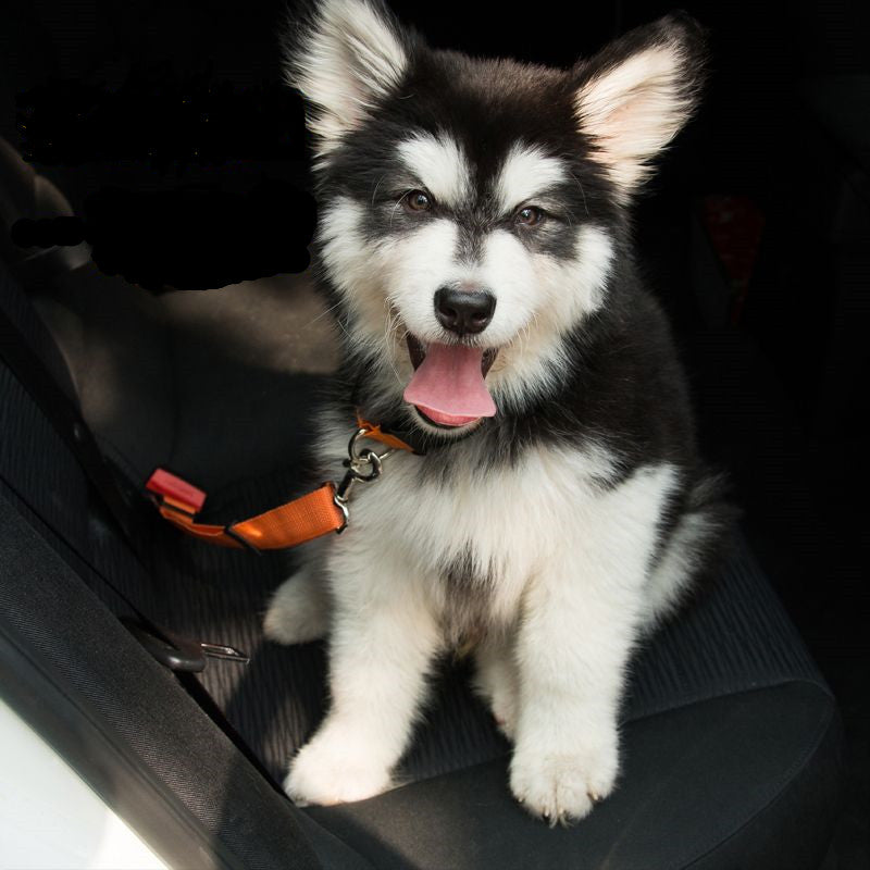 Adjustable Elastic Dog Car Seat Belt – image 4