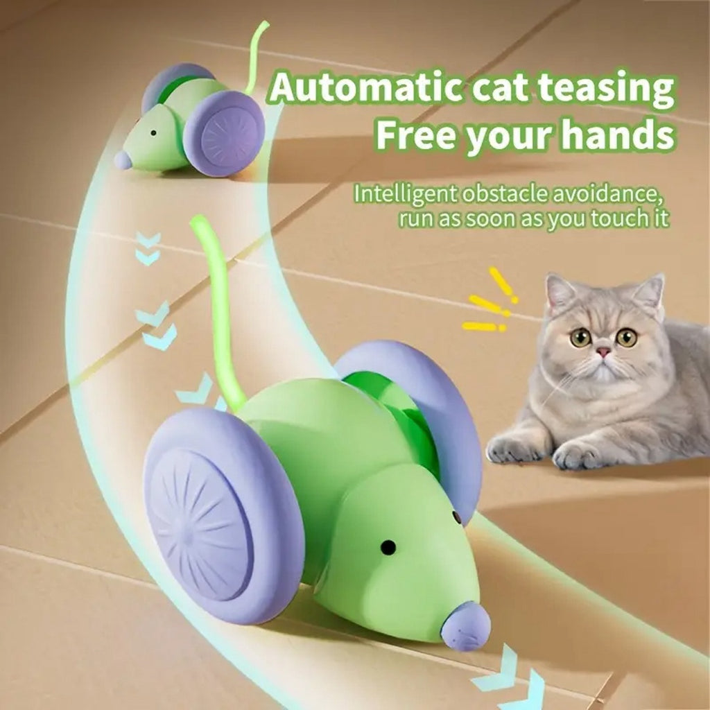 Automatic Interactive Mouse Cat Toy